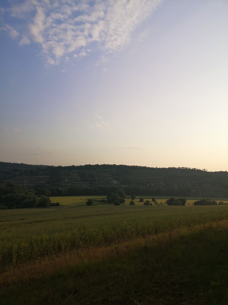 Workshops in der freien Natur in Sachsen