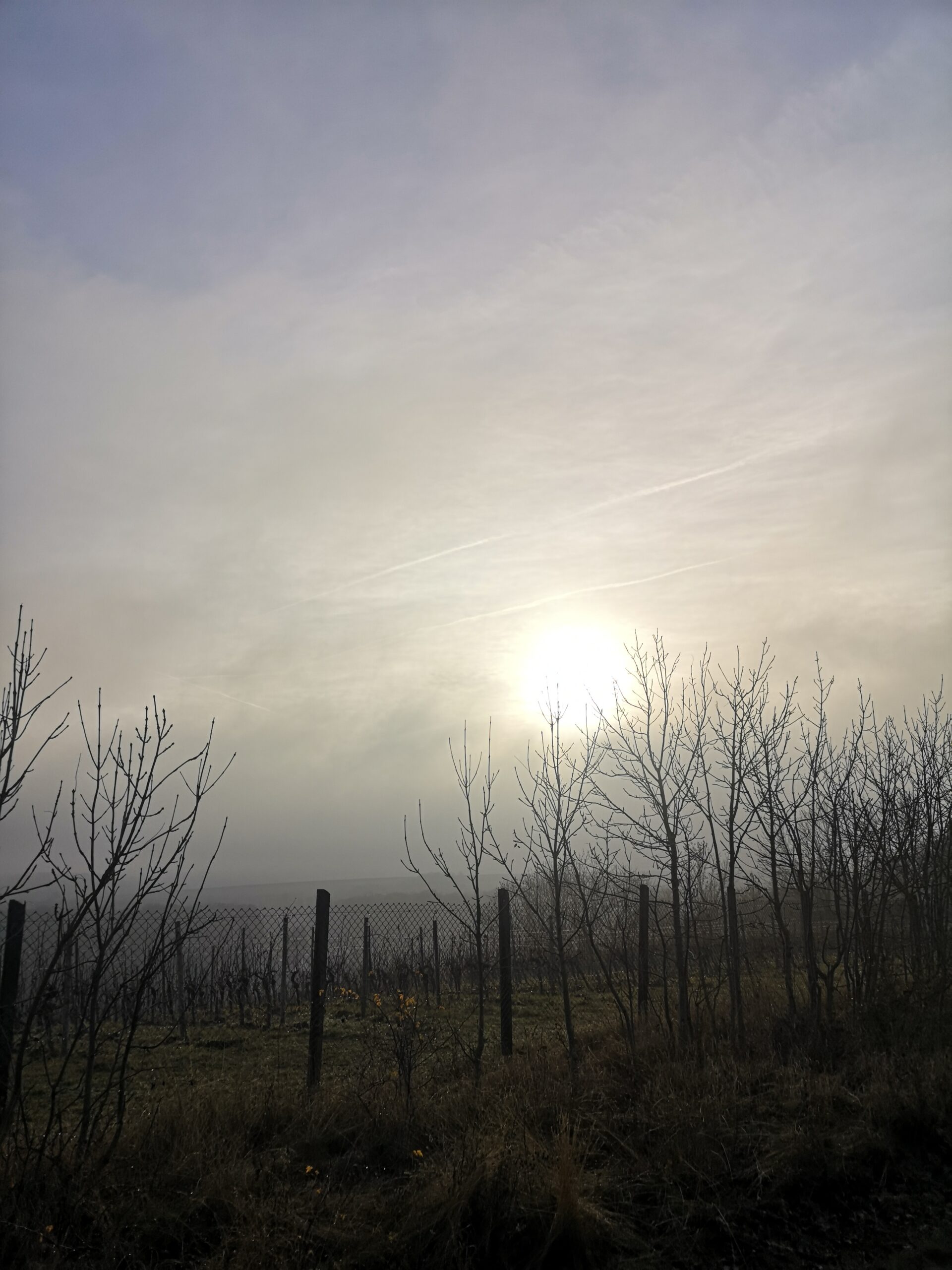 Zwischen den Jahren – eine Einladung zur Langsamkeit