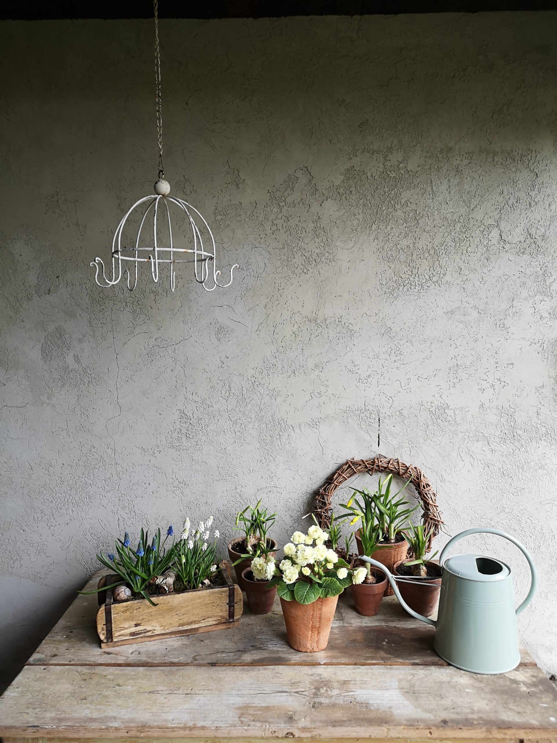 Ostara – Wenn das Leben zurückkehrt